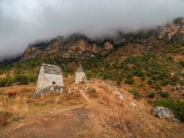 majestuoso antiguo torre edificios de Kelly y antiguo familia criptas en el assinesky garganta de montañoso ingushetia, uno de el medieval tipo castillo torre pueblos, situado en el montaña rango, Rusia foto