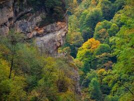 Walking path around the mountain covered with green mixed forest. North Ossetia, Alagir Gorge. Dangerous path around the cliff. photo