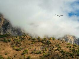 Soft focus. Mountain pass in Ingushetia. Wonderful  scenery with great Caucasus rocks and mountains in dense low clouds. Atmospheric highlands landscape with mountain tops under clouds. photo