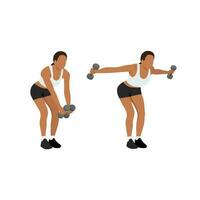 Woman doing Dumbbell bent over reverse flyes. vector