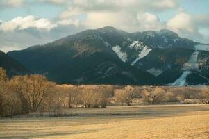 spring photo from Liptov, Slovakia 15.04.2023