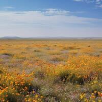 un llanura campo con salvaje flores en florecer ai generado foto