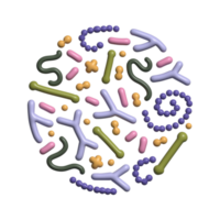3d render Concept of probiotics in round shape. Bifidobacterium, lactobacillus, streptococcus thermophilus, lactococcus, propionibacterium. Simple Volume illustration for Brochure, poster, advertising png