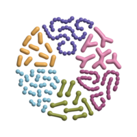 3d render Probiotic bacteria types set in circle shape. Good microbiota with healthy prebiotic bacillus. Lactobacillus, streptococcus, bifidobacteria and other microorganisms. Volume simple elements png