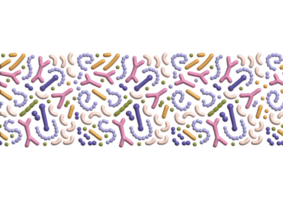 3d render Microbiome seamless border. Probiotic bacteria print with colorful lactobacillus, bifidobacteria, acidophilus. Volume biology illustration. png