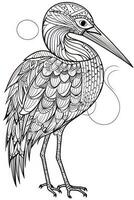 .Coloring book for adult and older children. Coloring page with a picture of heron. photo