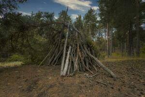 Austrian Alps, Austrian pine forests, Austrian expanses, Hut, Bottom view photo