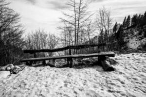 2023 02 18 Campogrosso wooden bench 1 photo