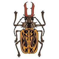 unique yellow brown beetle ,good for graphic design resources, posters, banners, templates, prints, coloring books and more. vector