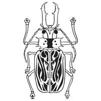 Beetle insect outline art ,good for graphic design resources, posters, banners, templates, prints, coloring books and more. vector