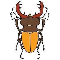 unique yellow brown beetle ,good for graphic design resources, posters, banners, templates, prints, coloring books and more. vector