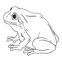 Frog outline art ,good for graphic design resources, posters, banners, templates, prints, coloring books and more. vector