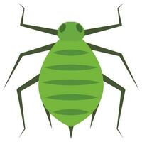 Flat color icon for aphid. vector