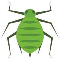 Flat color icon for aphid. vector