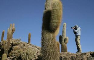 hombre tomando un foto en el famoso cactus isla en el medio de el uyuni sal pisos, bolivia