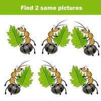 Find the same pictures for kids, educational game. Find identical pairs of lant. Insect theme. vector