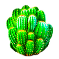 AI generative cartoon cactus PNG transparenr