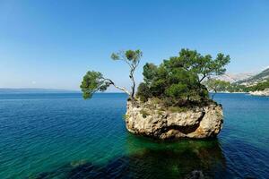 The symbol of Brela, The Brela Stone during a sunny day. This rock in the sea, overgrown with pines, shows the strength and power of survival and growth from the stone itself. Natural beauty. photo