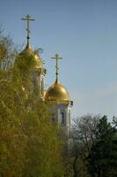 the church behind the trees photo