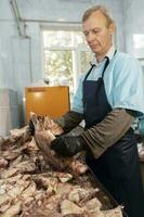 September 18, 2020. Belarus, Gamil. Fish factory.A fish factory worker chops frozen squid. photo