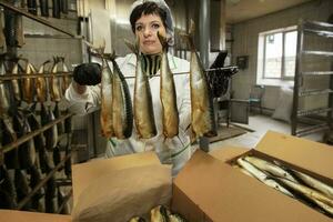 September 18, 2020. Belarus, Gamil. Fish factory.Fish factory worker with smoked fish. Fish industry. photo