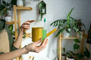 Drip fertilizer for potted plants, stimulator of development, growth acceleration, home plant care. A bottle of liquid is inserted in the hand of a woman. Home crop production photo