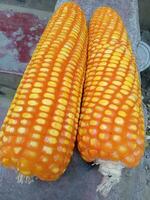 Flint corn,fruit food, vegetable photo