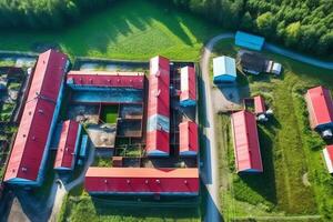 Bright ious pig farm buildings top view. photo