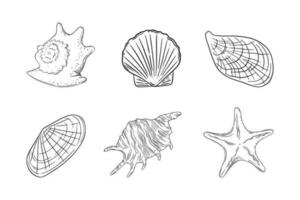 conchas marinas conjunto con estrella de mar, Vieira, ostra y otro acial. conchas aislado en blanco antecedentes. vector ilustración