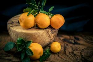 el calamondin naranja nitro fortunella macrocarpa es un híbrido de mandarín un cumquat foto