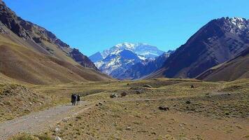 aconcagua es un montaña en el de el Andes montaña rango, en argentina. eso es el más alto montaña en el americas, con un cumbre elevación de 6,961 metros 22,838 pie video