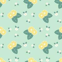 Seamless pattern, mint leaves and chamomile flowers with lemon slices, top view.Print, background, vector