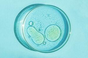 Petri dish. Petri's cup with liquid. Chemical elements, oil, cosmetics. Gel, water, molecules, viruses. Close-up. On a blue background. photo