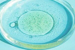 Petri dish. Petri's cup with liquid. Chemical elements, oil, cosmetics. Gel, water, molecules, viruses. Close-up. On a blue background. photo