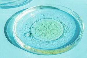 Petri dish. Petri's cup with liquid. Chemical elements, oil, cosmetics. Gel, water, molecules, viruses. Close-up. On a blue background. photo