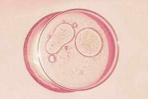 Petri dish. Petri's cup with liquid. Chemical elements, oil, cosmetics. Gel, water, molecules, viruses. Close-up. On a pink background. photo