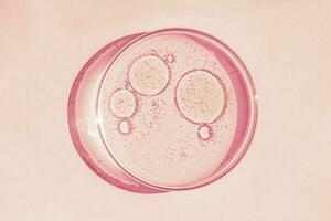 Petri dish. Petri's cup with liquid. Chemical elements, oil, cosmetics. Gel, water, molecules, viruses. Close-up. On a pink background. photo