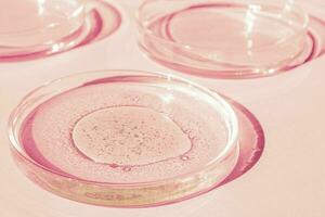 Petri dish. Petri's cup with liquid. Chemical elements, oil, cosmetics. Gel, water, molecules, viruses. Close-up. On a pink background. photo