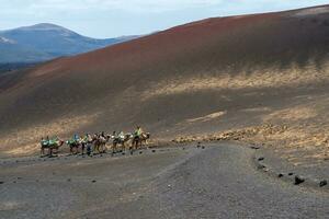 Timanfaya, Spain - August 10, 2018-tourists ride camels inside the Timanfaya National Park and the Volcanoes in Lanzarote during a sunny day photo