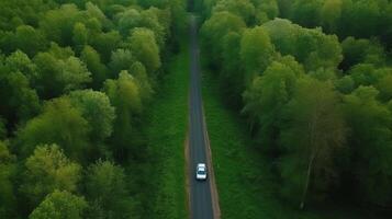 Airborne see green timberland with car on the black-top road. Creative resource, photo