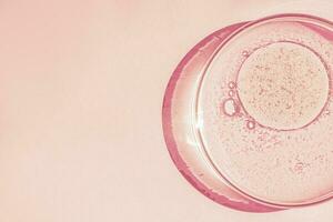 Petri dish. Petri's cup with liquid. Chemical elements, oil, cosmetics. Gel, water, molecules, viruses. Close-up. On a pink background. photo