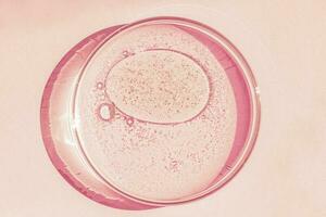 Petri dish. Petri's cup with liquid. Chemical elements, oil, cosmetics. Gel, water, molecules, viruses. Close-up. On a pink background. photo