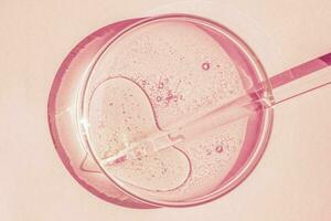 Petri dish. Petri's cup with liquid. Chemical elements, oil, cosmetics. Gel, water, molecules, viruses. Close-up. On a pink background. photo