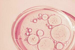 Petri dish. Petri's cup with liquid. Chemical elements, oil, cosmetics. Gel, water, molecules, viruses. Close-up. On a pink background. photo