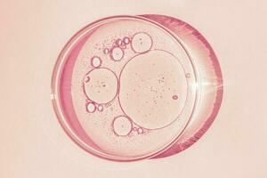 Petri dish. Petri's cup with liquid. Chemical elements, oil, cosmetics. Gel, water, molecules, viruses. Close-up. On a pink background. photo