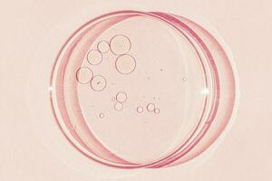 Petri dish. Petri's cup with liquid. Chemical elements, oil, cosmetics. Gel, water, molecules, viruses. Close-up. On a pink background. photo