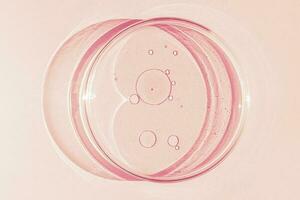 Petri dish. Petri's cup with liquid. Chemical elements, oil, cosmetics. Gel, water, molecules, viruses. Close-up. On a pink background. photo