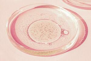 Petri dish. Petri's cup with liquid. Chemical elements, oil, cosmetics. Gel, water, molecules, viruses. Close-up. On a pink background. photo