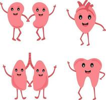 Human Organ Cartoon Character Set Of Kidney, Heart, Lungs, Dental vector