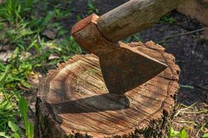 The wood chopper sticks out in wooden hemp. Ax and ax handle. Woodworking. Deforestation by a sharp axe. Ax to chop wood. Rusty but very sharp forester's ax or carpenter's axe. photo